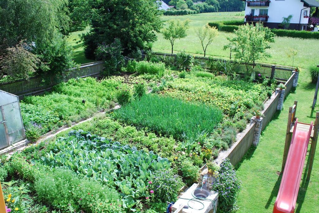 Farm Stay Rotovnik - Plesnik Словени Градец Екстериор снимка